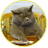 Лев