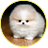 danik11