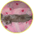 ПрульенДурье