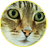 Litoprobka