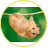 ОльгаТ