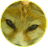 Lenusik