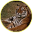 тигр2