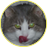 опттик