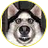 ДядяКиллер