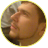 Gospod