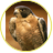 ATAMANCHIK