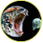 RobGun