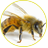 пчеловод