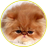 Синоби